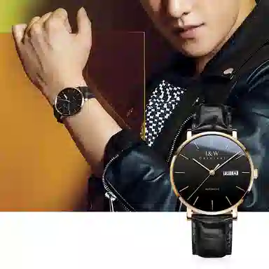 I&W Carnival IW8028PG