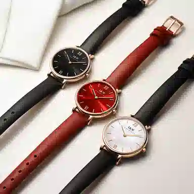 IW CARNIVAL HWGUOJI 3009LP