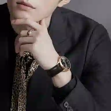 IW CARNIVAL HWGUOJI 528P