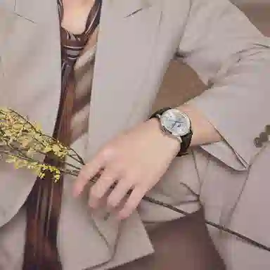 IW CARNIVAL HWGUOJI 528P