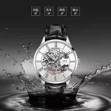 I&W Carnival DW8522G