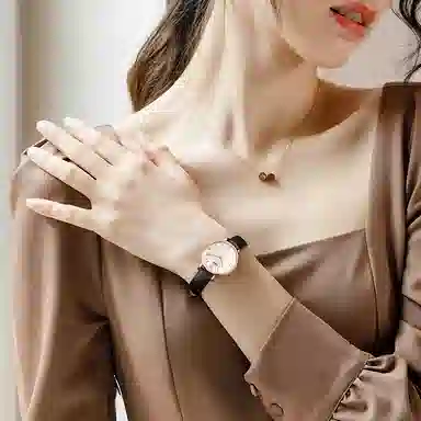 IW CARNIVAL HWGUOJI 3009LP