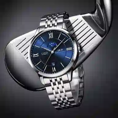 IW CARNIVAL HWGUOJI 528G