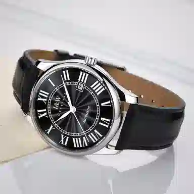 IW CARNIVAL HWGUOJI 665