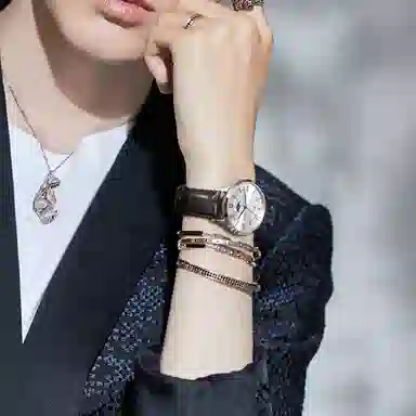 IW CARNIVAL HWGUOJI 528P