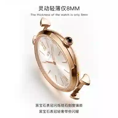 IW CARNIVAL HWGUOJI 8562