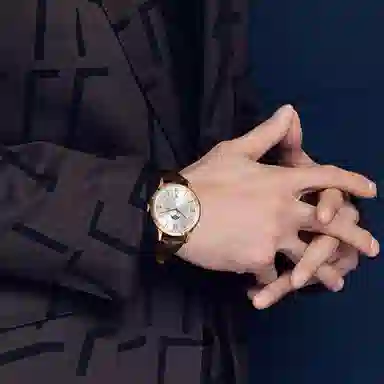 IW CARNIVAL HWGUOJI 528P