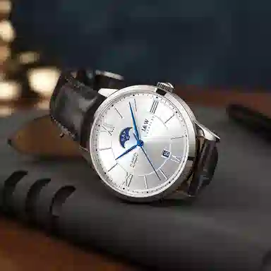 IW CARNIVAL HWGUOJI 528P