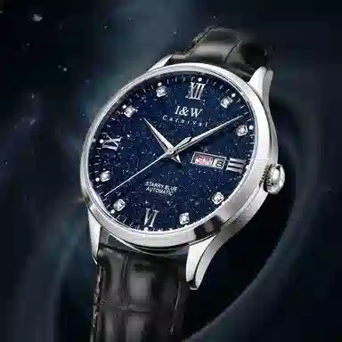 IW CARNIVAL HWGUOJI 658