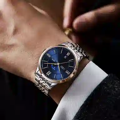 IW CARNIVAL HWGUOJI 528G