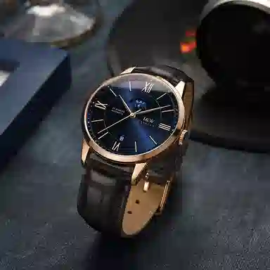 IW CARNIVAL HWGUOJI 528P