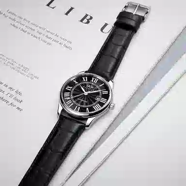 IW CARNIVAL HWGUOJI 665