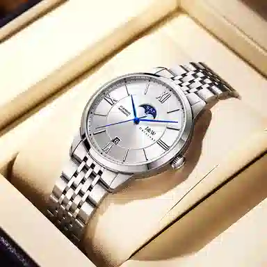 IW CARNIVAL HWGUOJI 528G