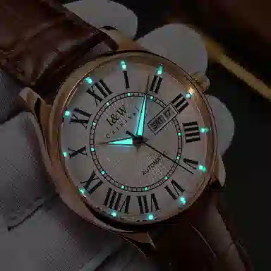 IW CARNIVAL HWGUOJI 55797