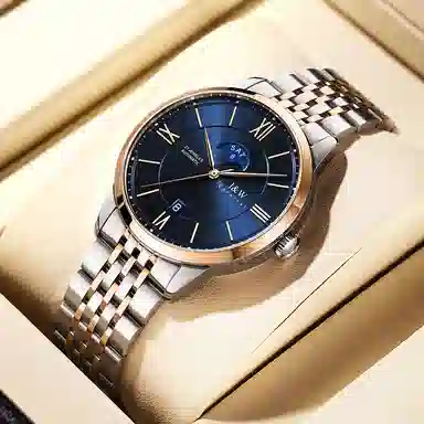 IW CARNIVAL HWGUOJI 528G