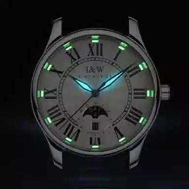 IW CARNIVAL HWGUOJI 685