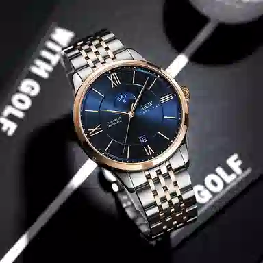 IW CARNIVAL HWGUOJI 528G