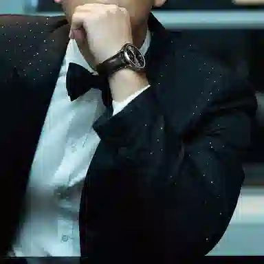 IW CARNIVAL HWGUOJI 528P