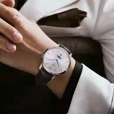 IW CARNIVAL HWGUOJI 527P