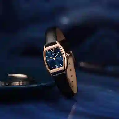 IW CARNIVAL HWGUOJI 3006