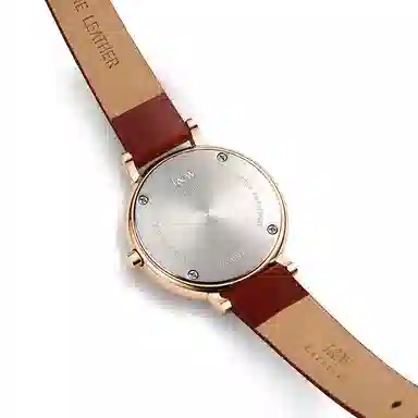 IW CARNIVAL HWGUOJI 3009LP