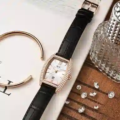 IW CARNIVAL HWGUOJI 537LP