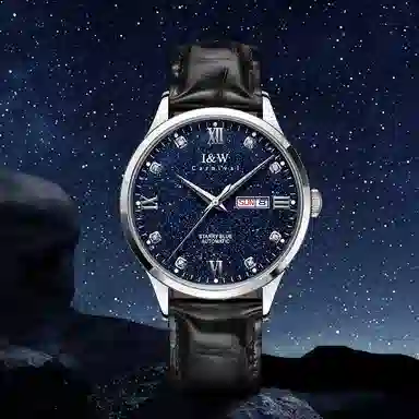 IW CARNIVAL HWGUOJI 658