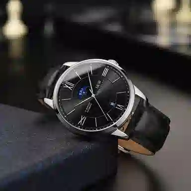 IW CARNIVAL HWGUOJI 528P