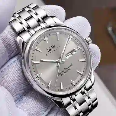 IW CARNIVAL HWGUOJI 809G