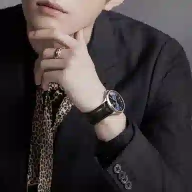 IW CARNIVAL HWGUOJI 528P