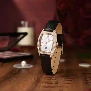 IW CARNIVAL HWGUOJI 537LP