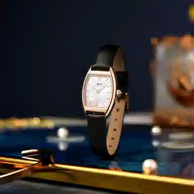 IW CARNIVAL HWGUOJI 3006