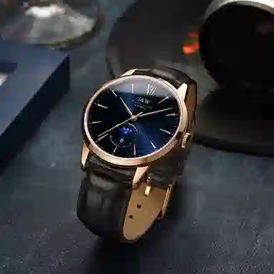 IW CARNIVAL HWGUOJI 527P