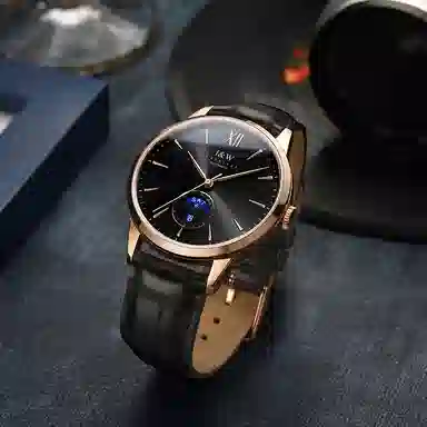 IW CARNIVAL HWGUOJI 527P