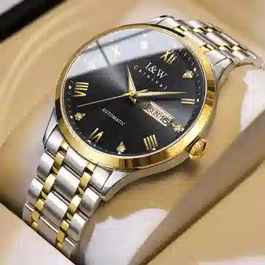 I&W Carnival IW8679GG