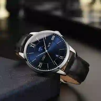 IW CARNIVAL HWGUOJI 528P