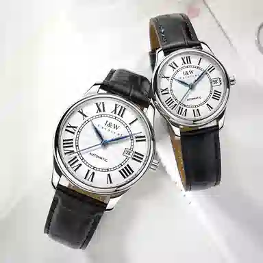 IW CARNIVAL HWGUOJI 665