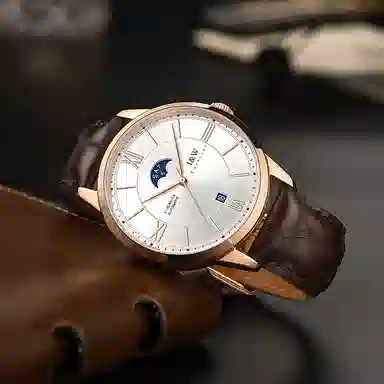 IW CARNIVAL HWGUOJI 528P