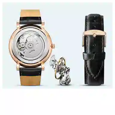 I&W Carnival IW8028PG