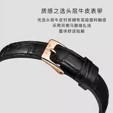 IW CARNIVAL HWGUOJI 631