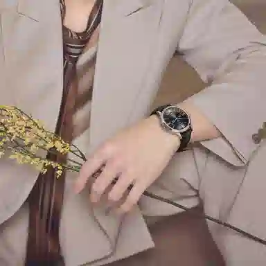 IW CARNIVAL HWGUOJI 528P