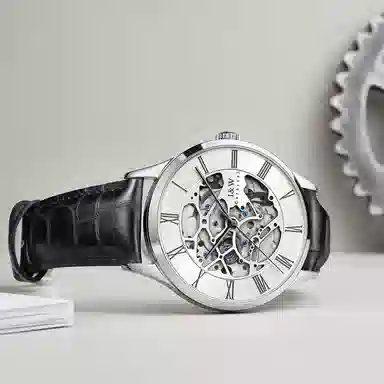 I&W Carnival DW8522G