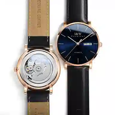 I&W Carnival IW8028PG