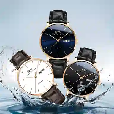 I&W Carnival IW8028PG