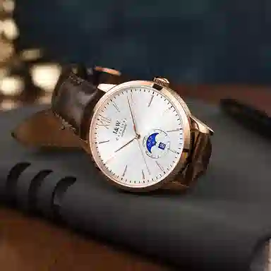 IW CARNIVAL HWGUOJI 527P