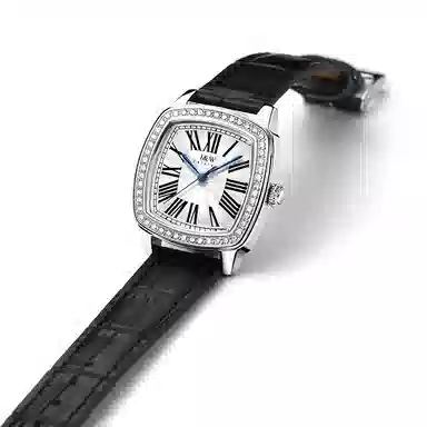 IW CARNIVAL HWGUOJI 637