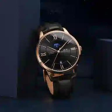 IW CARNIVAL HWGUOJI 528P