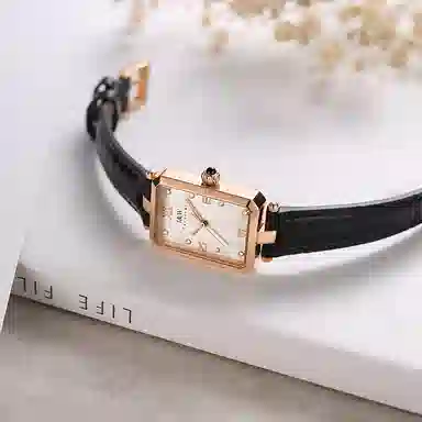 IW CARNIVAL HWGUOJI 631