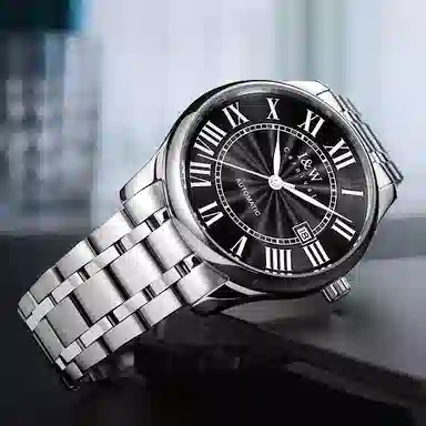 IW CARNIVAL HWGUOJI 665