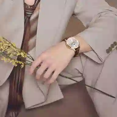 IW CARNIVAL HWGUOJI 528P